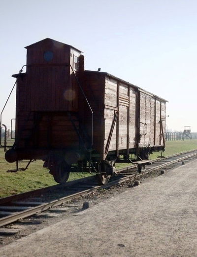 Het Geheugen van Auschwitz