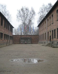 Made in Auschwitz: The Untold Story of Block 10 (2019)