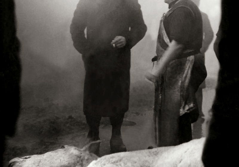 Beste Documentaires 1949 (films in het genre documentaire)