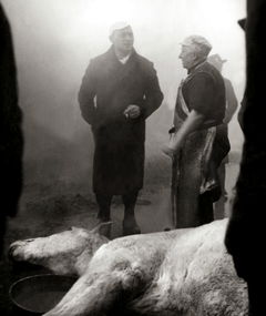 Le sang des bêtes (1949)