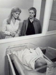 Mother and Daughter: The Loving War (1980)