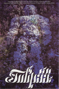 Flame Top (1980)