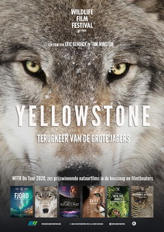 Yellowstone (2019)