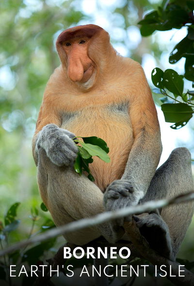 Borneo: Earth's Ancient Isle