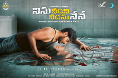 Ninu Veedani Needanu Nene (2019)