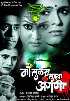 Mee Tulas Tujhya Angani (2005)