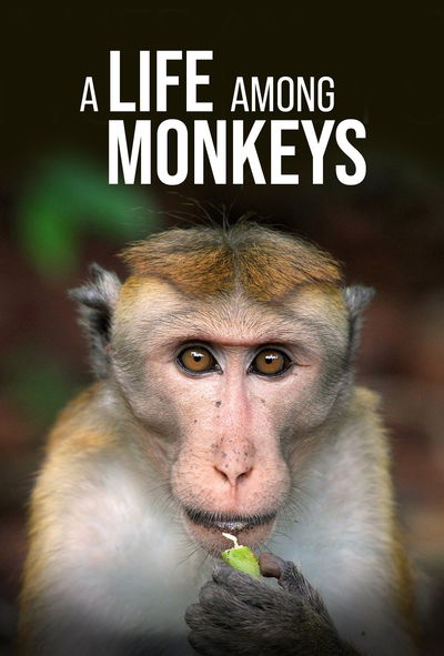 A Life Among Monkeys