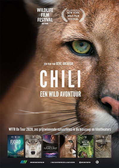 Chili: Een Wild Avontuur