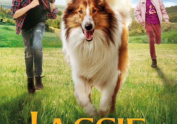 Beste Avonturenfilms 2020 op NPO Start &amp; Plus (januari 2026)