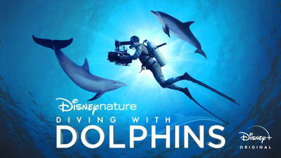 Diving with dolphins