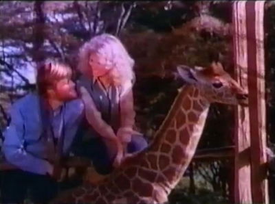 The Last Giraffe