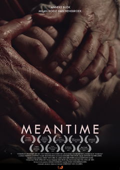 Meantime (2014)