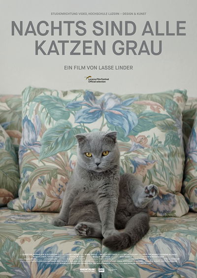 All Cats Are Grey in the Dark