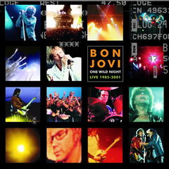 Bon Jovi: One Last Wild Night (2001)