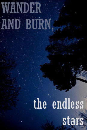 Wander and Burn, the Endless Stars