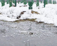 Dead Man Walking (2006)