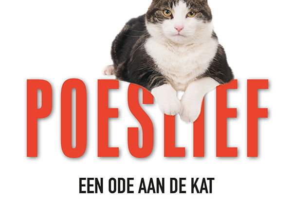 Beste Documentaires 2020 op Film1 (maart 2026)