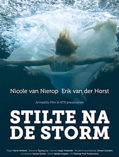 Stilte na de storm (2011)