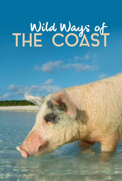 Wild Ways of the Coast