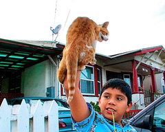 The First Kid to Learn English from Mexico (2008)