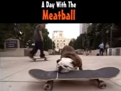 A Day with the Meatball (2002)