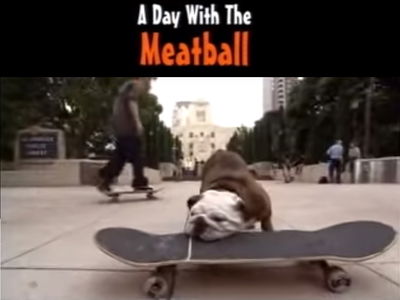A Day with the Meatball