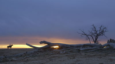 Crowley: Every Cowboy Needs His Horse