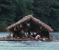 Het Vlot (1973)