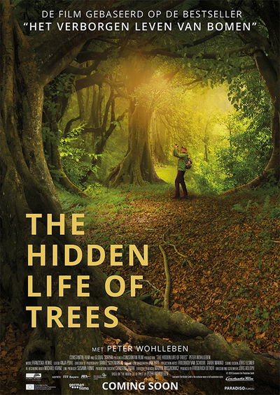 The Hidden Life of Trees