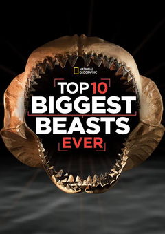 Top 10 Biggest Beasts Ever (2015)