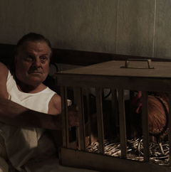 Schattebout (2009)