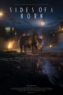 Sides of a Horn (2018)