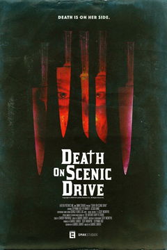 Death on Scenic Drive (2017)