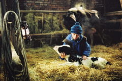 (A)Torzija (2003)