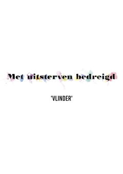Vlinder (2018)