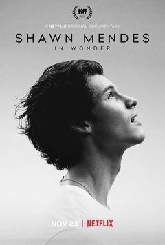 Shawn Mendes: In Wonder (2020)