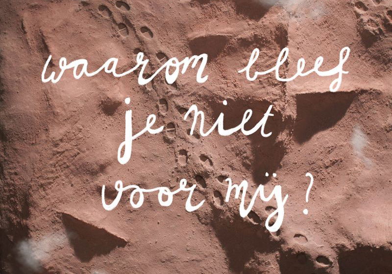 Top 20 Beste Documentaires 2020 op NPO Start &amp; Plus (maart 2026)