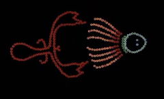 The Bead Game (1977)