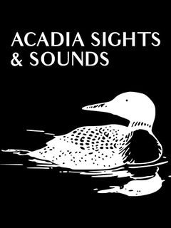 Acadia Sights & Sounds (2010)