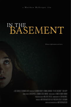 In the Basement (2015)