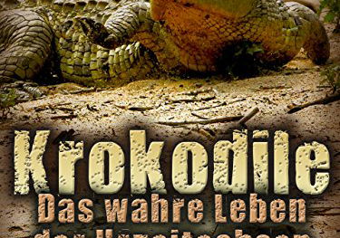 Beste Korte Films 2011 op Netflix (april 2026)