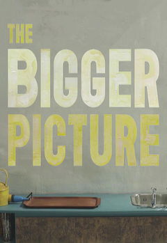 The Bigger Picture (2014)