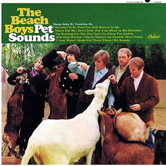 Classic Albums: The Beach Boys: Pet Sounds (2010)