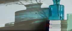 Sea Shadow (2020)