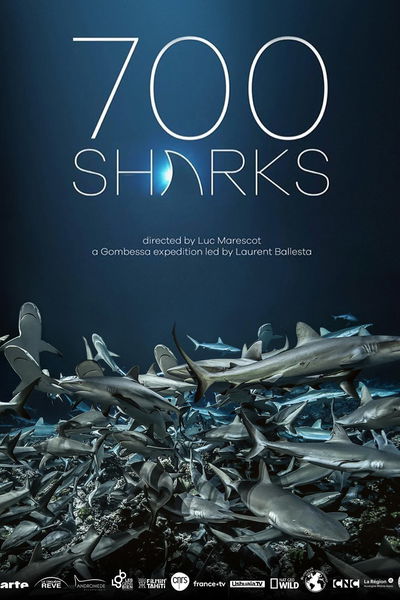 700 Sharks