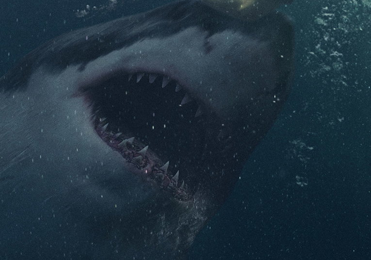 Beste Horrorfilms 2021 op CANAL+ (oktober 2026)