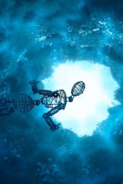 The One-Minute Memoir (2020)