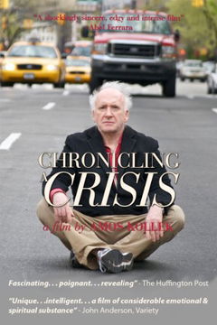 Chronicling a Crisis (2011)
