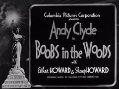 Boobs in the Woods (1940)