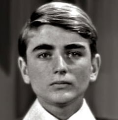 Let's Cogitate (1948)
